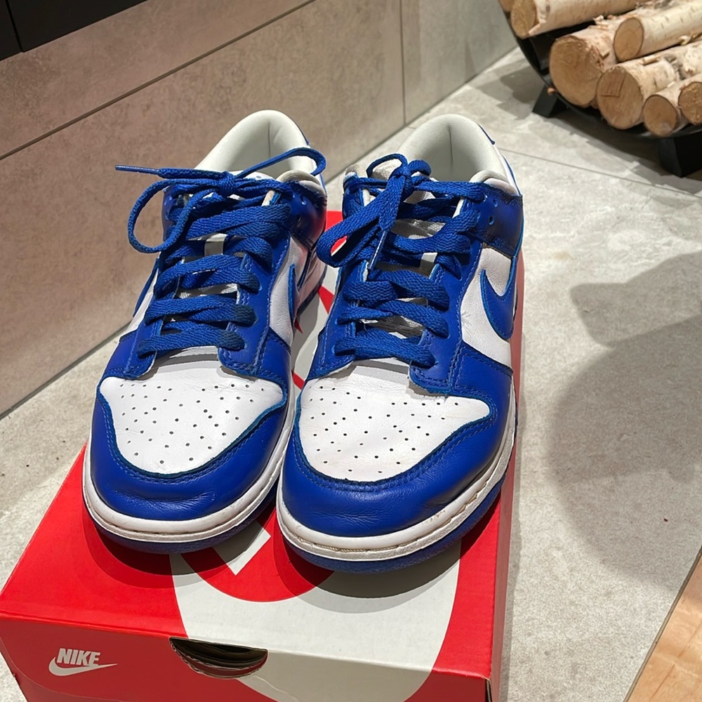 Nike Dunk low